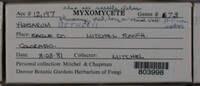 Image Associated With the Occurence